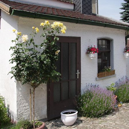 3 Seiten Ferienwohnung Jena Zewnętrze zdjęcie
