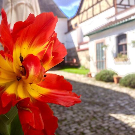 3 Seiten Ferienwohnung Jena Zewnętrze zdjęcie