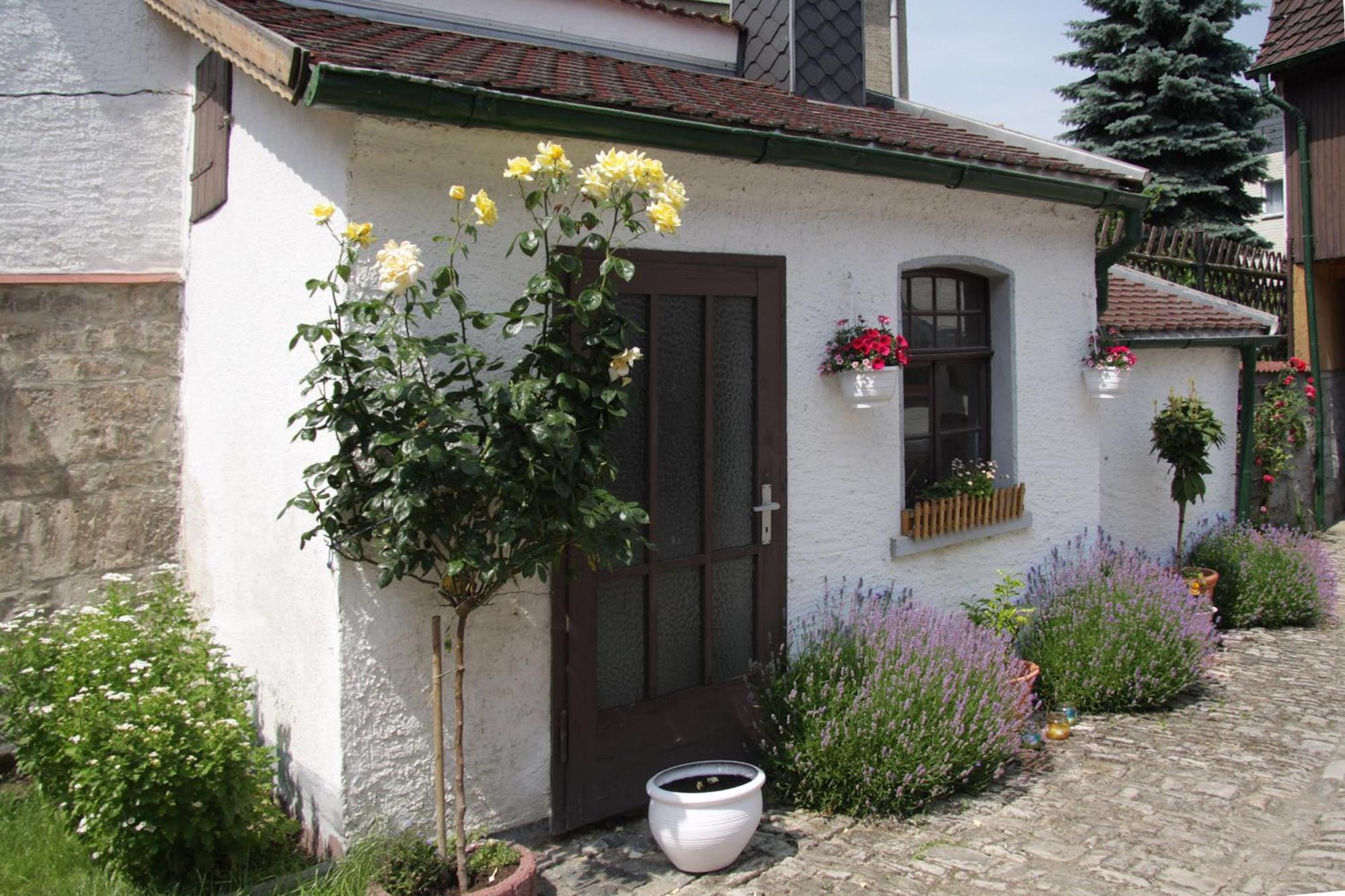3 Seiten Ferienwohnung Jena Zewnętrze zdjęcie