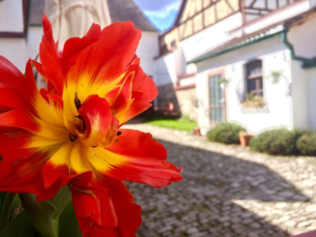 3 Seiten Ferienwohnung Jena Zewnętrze zdjęcie